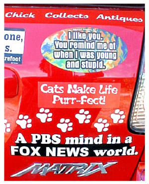 catspurrfectpbsmindyoungnstupid.jpg