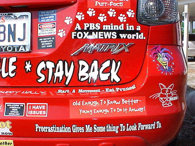 righthalflowerbackhatchcloseup.jpg